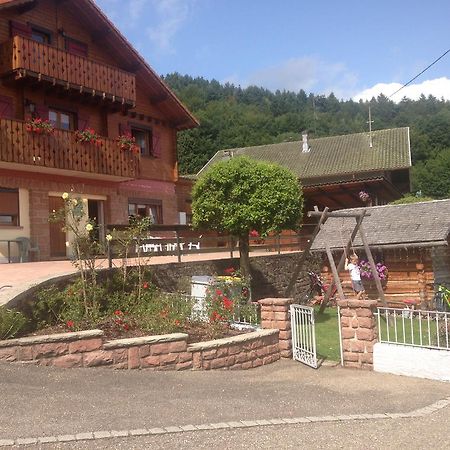 Gites Les Pins Et Les Bruyeres Wangenbourg-Engenthal Bagian luar foto