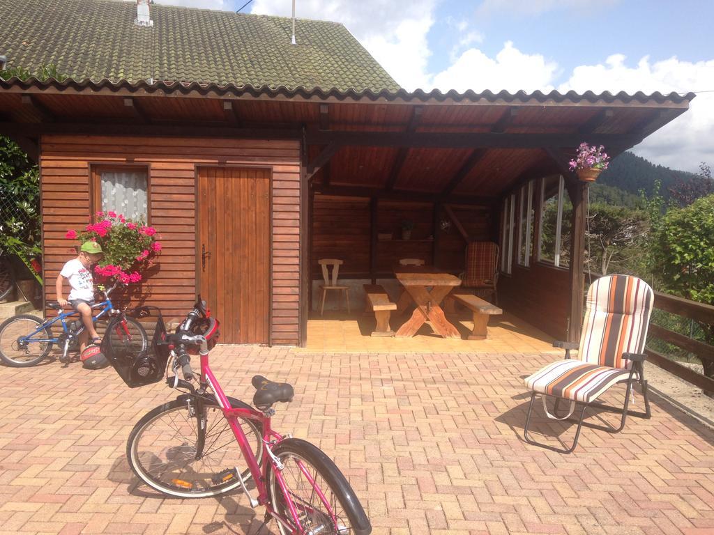 Gites Les Pins Et Les Bruyeres Wangenbourg-Engenthal Bagian luar foto