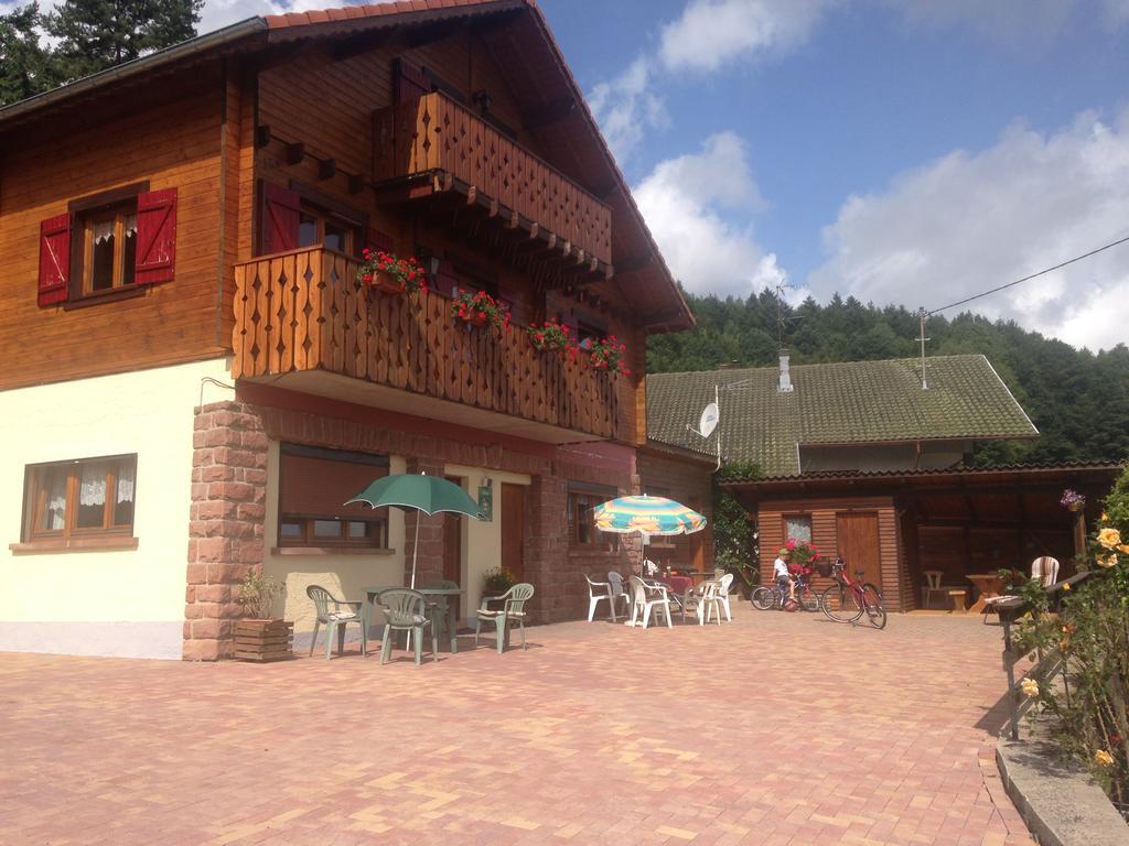 Gites Les Pins Et Les Bruyeres Wangenbourg-Engenthal Bagian luar foto