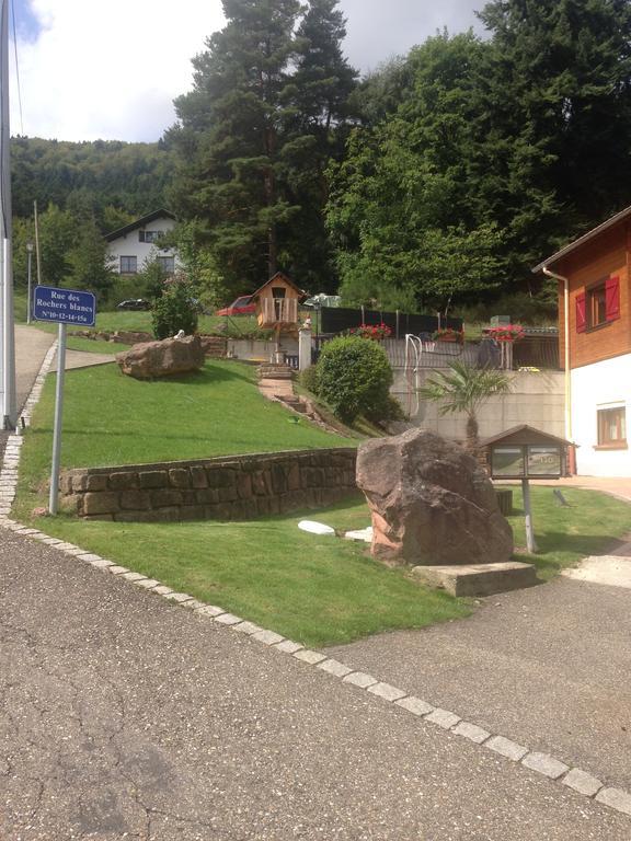 Gites Les Pins Et Les Bruyeres Wangenbourg-Engenthal Bagian luar foto